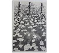 Orjdjz Wxkbl Tre Mondi Di M. C. Escher Poster E Stampe M. C. Escher Arte Della Parete M. C. Escher Pittura Su Tela Per La Decorazione Della Parete Della Casa Quadro 40x65cm Senza Cornice