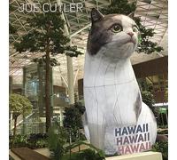 Orkest de Ereprijs; Wim Boerman; Trish Clowes; BBC Concert Orchestra - Joe Cutler: Hawaii Hawaii Hawaii