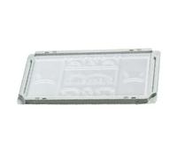 Orma N. 100 TRAPPOLE COLLANTI per RATTI Topi VASCHETTE PLASTICA Bianca 25x12x1,5 CM