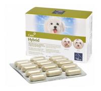 Camon Orme Naturali Hybrid 60 Compresse 1300 Mg