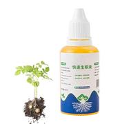 Ormoni Radicanti Liquidi, Radicante Per Talee, Ormoni Della Crescita Delle Radici Liquide Ad Alte Prestazioni Da 50 Ml, Aumenta Gli Ormoni Della Crescita Delle Radici Per Talee, Trapianti, Alb