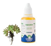 Ormoni Radicanti Per Talee - Soluzione Liquida Per L'attivazione Di Piante E Fiori Da 50 Ml | Starter Per Radici Liquido | Starter Di Radice Per Piante | Root Starter Per Piante