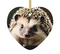 Ornamenti a forma di cuore in ceramica a forma di riccio carino alla moda e romanzo decorazioni per albero di Natale