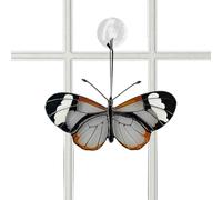 Ornamenti a forma di farfalla, in acrilico, per finestre e finestre, per interni ed esterni, soggiorno, camera da, giardino, portico, albero