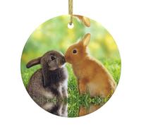 Ornamenti d'attaccatura ceramici dell'albero di Natale della stampa di amore del coniglio, decorazioni