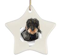 Ornamenti Di Albero Di Natale Con Cordino Addobbi Per Natale Ceramica Ciondoli Natalizi Decorazioni Per Albero Di Natale Divertente Bassotto Grigio Argento Che Esce Da Un Muro Crepato