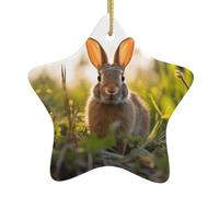 Ornamenti natalizi a forma di stella in ceramica WHJSHOP Rabbit in the Grass Pattern Accessori per albero di Natale per centri commerciali finestre e uffici