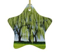 Ornamenti natalizi in ceramica a forma di stella YYHHAOFA Willow Tree Picture Accessori per albero di Natale per centri commerciali finestre e uffici