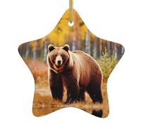 Ornamenti natalizi in ceramica a forma di stella YYHWHJDE Strong Brown Bear stampato per decorazioni natalizie in centri commerciali, supermercati e case