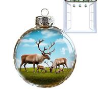 Ornamenti per albero di Natale - Decorazioni per feste trasparenti | Ornamenti infrangibili e accattivabili | per la casa la cena la scuola il ristorante il centro commerciale il matrimonio l'Anniv