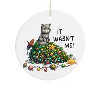 Ornamenti per albero di Natale, souvenir commemorativo in ceramica, divertente ornamento da appendere per la casa, calza della Befana, regalo per amanti dei gatti, familiari e amici, 7,5 cm