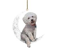 Ornamenti per auto, simpatici cani altalena con ciondolo a specchio per animali, ornamenti per specchietto retrovisore per auto, per specchietti laterali, porte, casa o ufficio