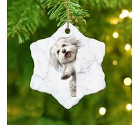 Ornamenti per cani da compagnia Coton De Tulear Cane che sbircia intorno all'angolo Fiocco di neve Ornamenti in ceramica di Natale per la decorazione dell'albero di Natale Calza in porcellana Stuffer
