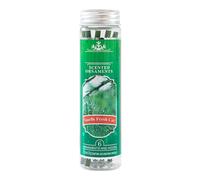 Ornamenti profumati O Christmas Tree Fresh Cut Albero di Natale Profumo 6 Ornamenti e Ganci Organizzatore di Eventi Organizer Bag (Verde, Taglia Unica)