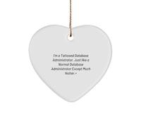 Ornamento a forma di cuore dell'amministratore del database regali da amici per Natale persona speciale citazione più calda divertente