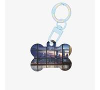 Ornamento a forma di osso di cane in acrilico con stampa riflessa Chicago, ornamento per animali domestici, portachiavi, confezioni regalo, per gli amanti degli animali domestici