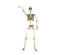 Ornamento a forma di scheletro di Halloween per tutto il corpo, finto teschio