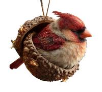Ornamento Animale, Con Accento Appeso Trasparente 2D, 7,5 Cm, Figurina Di Creatura Della Foresta Di Ghiande Del Bosco, Decorazione Animale Addormentato In Miniatura Acrilico, Materiale