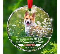 Ornamento commemorativo in vetro per la perdita del cane, non più al nostro fianco ma per sempre nel mio cuore, immagine personalizzata con zampa di cane e ali d'angelo, simpatia per cani