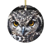 Ornamento da appendere in ceramica per albero di Natale, gufo dagli occhi gialli, ricordo per le vacanze a casa, festa di Natale, montaggio a parete regalo
