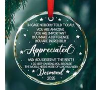 Ornamento di apprezzamento, ornamento natalizio personalizzato, regalo di ringraziamento per amici, colleghi, sei incredibilmente apprezzato, ornamenti di cristallo di vetro di Natale, regali per