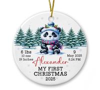 Ornamento in ceramica 2025 My 1st Christmas, regalo personalizzato per il primo Natale del bambino per papà e mamma, ornamenti ricordo per neonati, informazioni/nome Baby Panda First Xmas decorazione