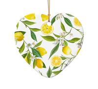 Ornamento natalizio con limoni tropicali freschi, decorazione per albero di Natale, calza della Befana, idea regalo per gli amici