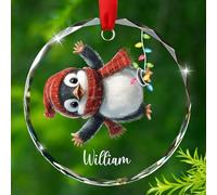 Ornamento natalizio in vetro a forma di pinguino 2025, nome personalizzato amante dei pinguini, ornamento natalizio regalo per uomini, donne, papà, mamma, simpatico pinguino in vetro, ornamenti