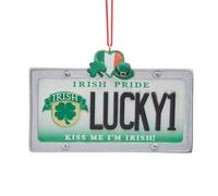 Ornamento Per Targa Irlandese Lucky1