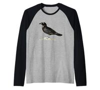 Ornitologia degli uccelli del corvo merlo corvo Maglia con Maniche Raglan