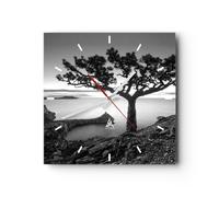 Orologio da Parete in Vetro 40x40cm Albero Bianco E Nero Vista Silenzioso