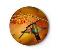 Orologio da Parete in Vetro 40x40cm colibrì uccello estate Moderno Silenzioso