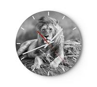 Orologio da Parete in Vetro 40x40cm leone animale natura Moderno Silenzioso
