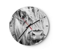 Orologio da Parete in Vetro 40x40cm Mucca Scotch Animale Moderno Silenzioso