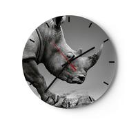 Orologio da Parete in Vetro 40x40cm Rinoceronte Monocromatico Animale Silenzioso