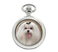 Orologio Da Tasca Maltese Terrier