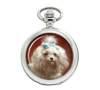 Orologio Da Tasca Maltese Terrier Di Carl Reichert