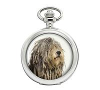 Orologio Da Tasca Per Cane Bergamasco