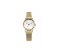 Orologio - Daisy Dixon - DD069GM - Mill - Oro - Donna - 26-30 mm