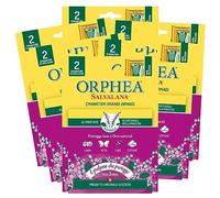 Orphea Salvalana Emanatori Grandi Armadi Protegge Lana e Fibre Naturali Profumo di Patchouli Protezione Vestiti - 6 Confezioni da 2 Emanatori