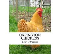 Orpington Chickens: From The Book of Poultry