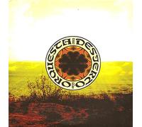 Orquesta Del Desierto - DOS
