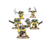 Orruk Warclans: Orruk Brutes | Box 5