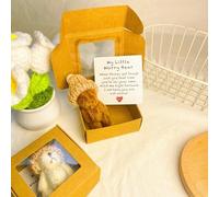 Orsetto preoccupante abbraccio in una scatola, mini orsetto preoccupante con biglietto ispiratore, bambola soffice peluche, piccola tasca abbraccio, accessorio da scrivania, regalo di simpatia per