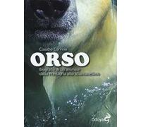 Orso. Biografia di un animale dalla preistoria allo sciamanesimo