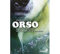 Orso. Biografia di un animale dalla preistoria allo sciamanesimo