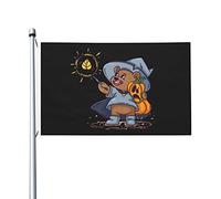 Orso che tiene una zucca di Halloween per lanciare un incantesimo Bandiere per esterno 3x5 Bandiera bifacciale Banner per esterni con 2 occhielli in ottone Bandiera Casa Decorazione cortile Bandiere