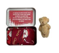 Orso di Natale in una scatola - Orsacchiotto tascabile piccolo | in scatola natalizia, tasca con biglietti e piumini per compleanno Baby Shower