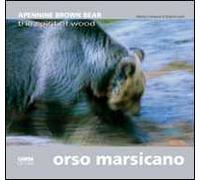 Orso marsicano. Apennine brown bear. The spirit of wood. Ediz. italiana e inglese