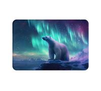 Orso Polare Della Luce Del Nord Tappeto Docciaantiscivolozerbini Di Benvenutolavabilezerbino Ingressoufficioesternointerno40 X 60Cm